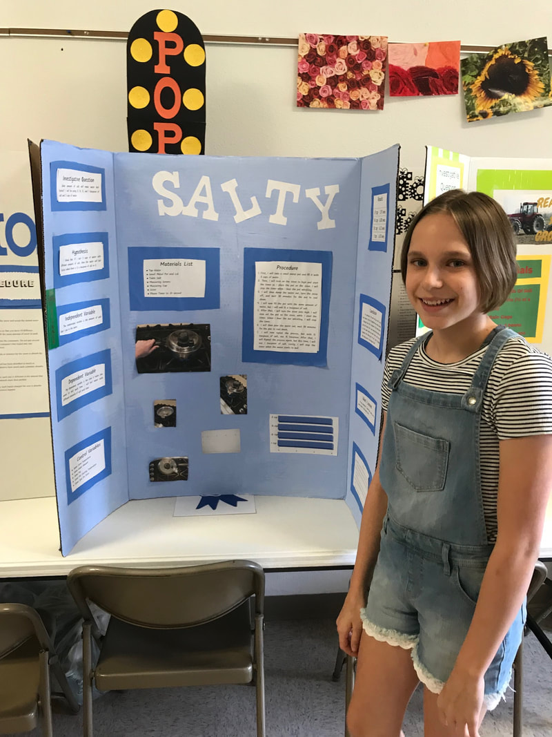 easy 7th grade science fair projects